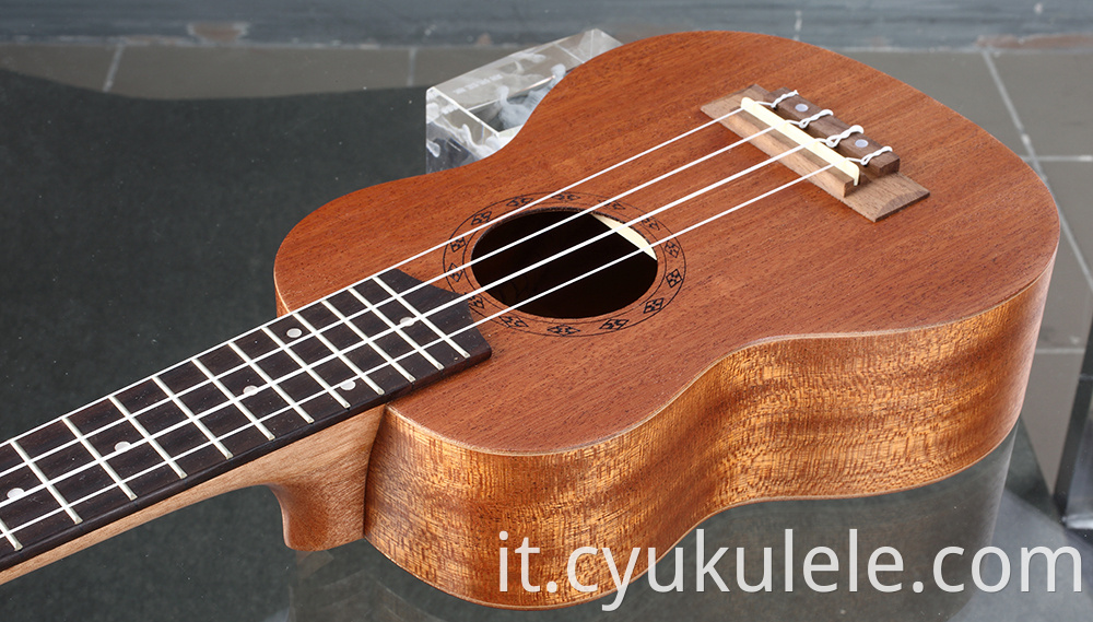 ukulele20